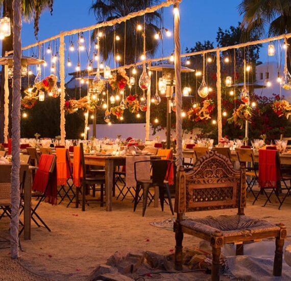 Beer Dinner & Festival